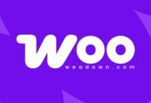Bulk Category Editor for WooCommerce: cómo gestionar categorías fácilmente