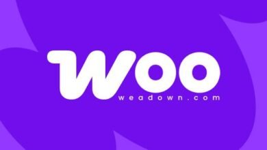 Bulk Category Editor for WooCommerce: cómo gestionar categorías fácilmente