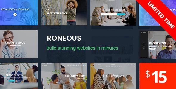 Roneous: guía para aprovechar este tema creativo multiusos en WordPress