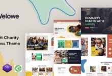 Welowe: tema WordPress para organizaciones sin fines de lucro y ONG